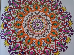 whatsapp bild 2025-04-07 um 18.38.26_0e51c907